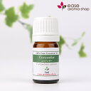 【オーガニック】コリアンダー 5ml 【精油 エッセンシャルオイル アロマオイル】【AEAJ表示基準適合認定精油】【RCP】