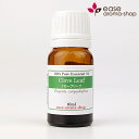 クローブリーフ 10ml 【精油 エッセンシャルオイル アロマオイル クローブ】【AEAJ表示基準適合認定精油】【RCP】