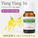 イランイラン1st 10ml 【精油 エッセンシャルオイル ...