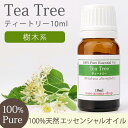 ティートリー 10ml 【精油 エッセンシャルオイル アロマオイル アロマ ギフト ティーツリー ティートゥリー】【AEAJ表示基準適合認定精油】【RCP】バイキングで紹介されたオイル