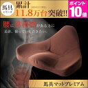 ★ポイント10倍★【■送料無料】 馬具マットプレミアム ドリ...