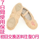 刺繍付き全革バレエシューズ 子供用(キッズ/ジュニア/子ども/こども)皮製スプリットソールで格安の韓国製・バレエ用品の通販(レッスン/練習用に) サイズ:16?22.5cm \2100