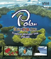 魅惑の楽園パラオ−Tropical　Wonder　Sea　PALAU−（Blu−ray　Disc）【送料無料】
