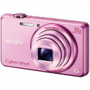 SONY DSC-WX200 P(sN) TCo[Vbg