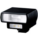 パナソニック DMW-FL200L LEDライト搭載フラッシュライト