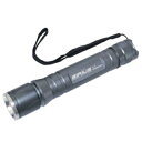 カシムラ NLL-2 LEDハンディライト 120ルーメン