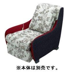 ̵Panasonic EP-2M41-EZ(󥿡ե) 夻ؤСå