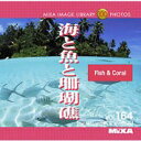 マイザ MIXA Image Library Vol.164「海と魚と珊瑚礁」