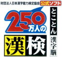 【通常3、4営業日で出荷】　IEインスティテュート [DSソフト]250万人の漢検　とことん漢字脳 250banninnokank