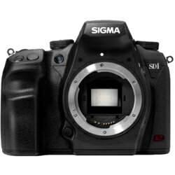 SIGMA SD1 Merrill ボディ