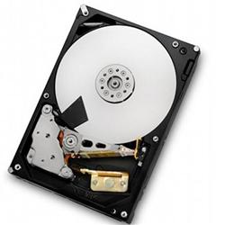 HGST HDS723020BLA642 Deskstar 7K3000 2TB