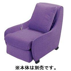 ̵Panasonic EP-2M41-V(ץѡץ) 夻ؤСå