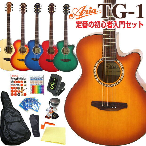 アコースティックギター 初心者 12点 セットARIA TG-1 カッタウェイタイプ アコ…...:ebisound:10010956