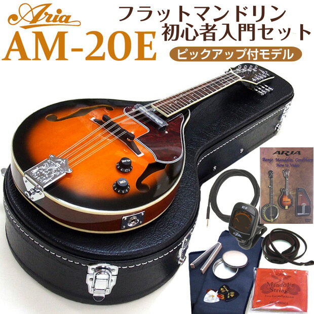 マンドリン ARIA アリア AM-20E 初心者 11点セット ピックアップ搭載 フラッ…...:ebisound:10009372