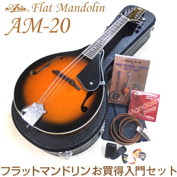 ARIA AM-20 フラットマンドリンで始める初心者9点セット！【送料無料】