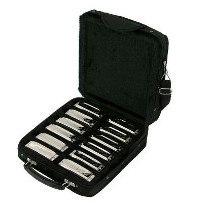 ARIA AH-1020 Set ֥롼ϡ12ܥå 