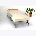 エムティーシー エムティーシー MSB-601 スプリングベッド ベージュ