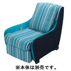 Panasonic EP-2M41-AZ(֥롼ȥ饤) 夻ؤСå