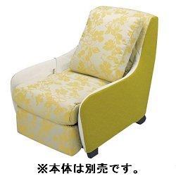 Panasonic EP-2M41-YZ(ե) 夻ؤСå