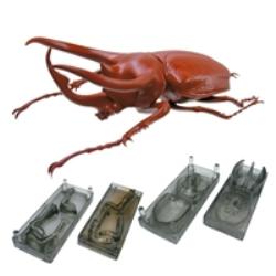 キモケシ　拡張セット　アトラスオオカブト