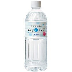 ロジネットジャパン ゆきのみず 530ml×24本入