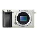 ¥½¥Ë¡¼ ¦Á6000 ILCE-6000-S(¥·¥ë¥Ð¡¼) ¥Ü¥Ç¥£