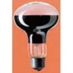 y敪Azy񂹁iʏ4xjzPanasonic RF100V90W td(p) E26 (8...