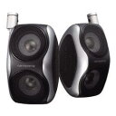 【送料区分A】【お取り寄せ(通常7日程)】PIONEER TS-STX7 カ...