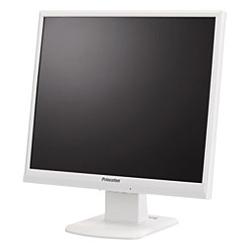 ڻ߸ ʿв١ۡʬAۡں߸ˤ(¨Ǽǽ)PRINCETON PTFWSF-19 / 19顼վǥץ쥤 PTFWSF-19