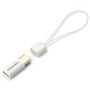 PGA PG-MCCN04(ホワイト) iCharger USB Type-C - micro USB 変換アダプタ