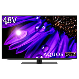 【設置＋リサイクル】シャープ(SHARP) <strong>4T-C48EQ2</strong> AQUOS 4K有機ELテレビ 48V型