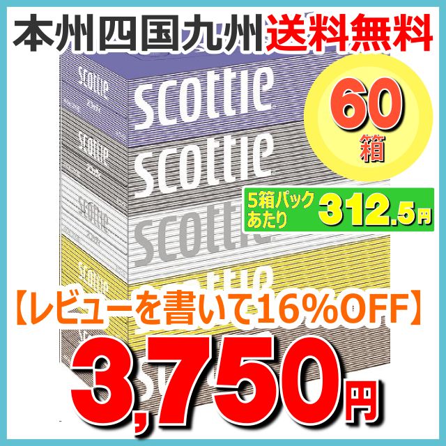 スコッティ ティッシュ 400枚(200組)×5箱パック 1ケース[60箱:5箱パック×12] 1ケースで送料無料・1パック当たり312.5円(税込)