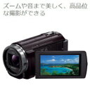 【送料無料】SONY ソニー ビデオカメラ Handycam(ハンディカム) ズームや音まで美しく、高品位な撮影ができる デジタルHDビデオカメラレコーダー HDR-CX535(T-ボルドーブラウン) HDRCX535-T【RCP】【マラソン201407_送料込み】