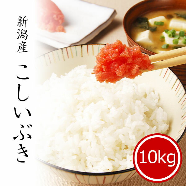 米 10kg こしいぶき 令和2年産 お米 送料無料 精米 白米 新潟県産