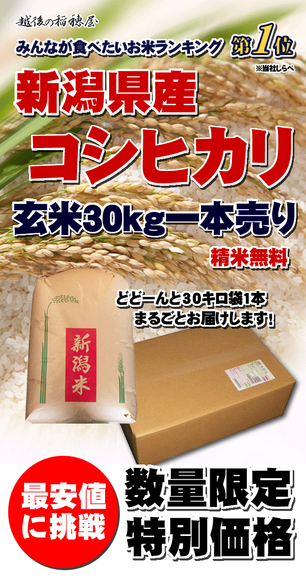 新潟県産コシヒカリ一等玄米30キロ （平成25年産米）地元新潟から最安値に挑戦中！みんなが食べたいお米当店人気第1位！