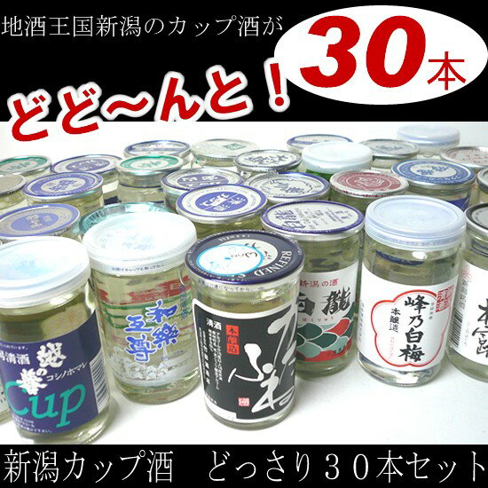 日本酒 飲み比べセット　新潟厳選カップ酒まるごと30本！飲み比べ福袋（180ml×30本）【日本酒 送料無料】【2sp_120810_ blue】