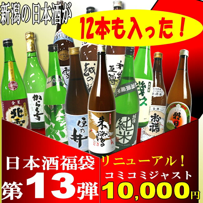 【A188】【第13弾改】「新潟の日本酒720ml12本も入った1万円ジャスト福袋」【送料無料】