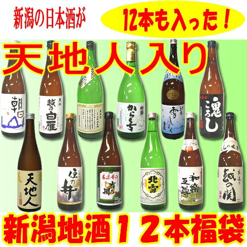 天地人＆新潟の地酒12本入りボリューム福袋【A-46】『天地人』が入った「新潟の日本酒720mlが12本も入った1万円ジャスト福袋」【送料無料】【日本酒/新潟/飲み比べ】