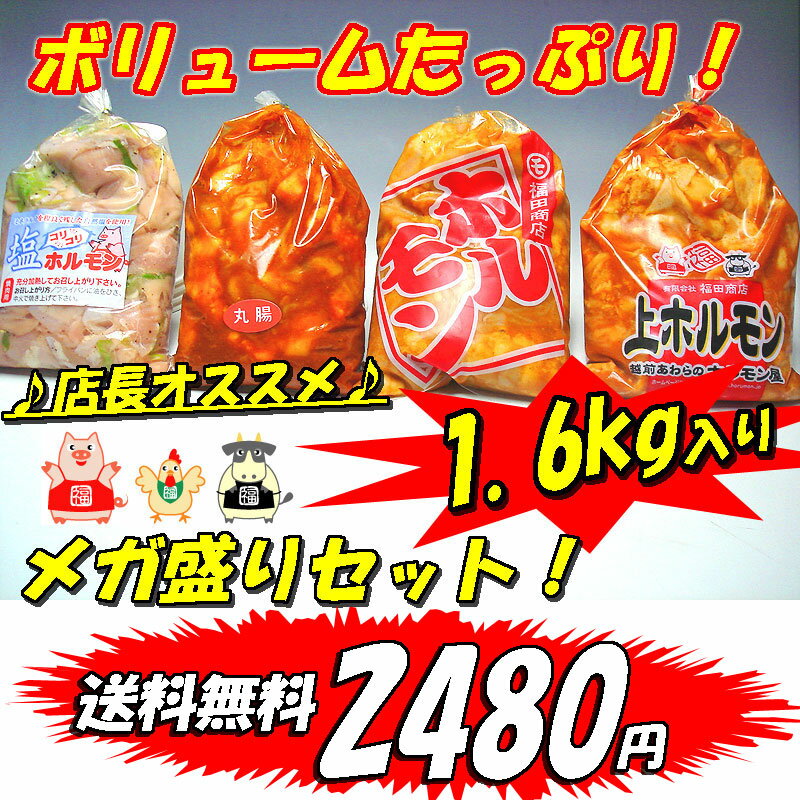 【送料無料】店長オススメ！メガ盛りホルモンセット1.6kg入り「肉の日」「バーベキュー」「焼肉」「アウトドアー」「B級グルメ」【父の日】【お中元】【お歳暮】【S6_gu】【SBZcou1208】