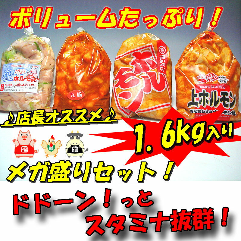 【送料無料】店長オススメ！メガ盛りホルモンセット1.6kg入り「肉の日」「バーベキュー」「…...:echihoru:10000501