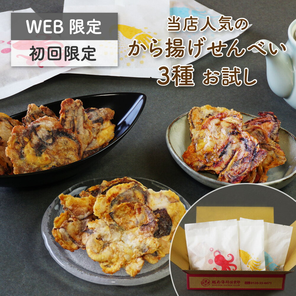 送料無料 お試し【から揚げせんべいお試しセット】｜海鮮せんべい たこせんべい タコせんべい たこせん お煎餅 イカせんべい いかせん 晩酌 ちょい飲み 家飲み バラエティ おつまみ おやつ お取り寄せ 常温 乾き物 海鮮煎餅 越前海鮮倶楽部