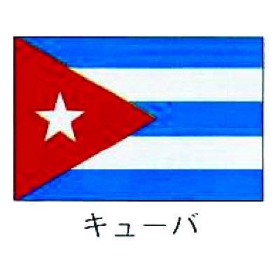 31511:59܂Ń|Cg10{IyECxgE̔/TCz@E̍@L[o@140~210ysmtb-TKz