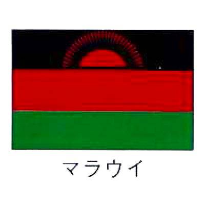 31511:59܂Ń|Cg10{IyECxgE̔/TCz@E̍@}EC@140~210ysmtb-TKz