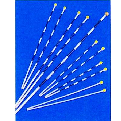 31511:59܂Ń|Cg10{Iy5250~ȏwőzyCxgETCz֘A@_@Grih_m{pn@4ڍ_