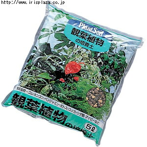 ڤ6ĥåȡۡ5250߰ʾ̵ۡڥǥ˥ʤηΡڡۥꥹޡտʪڡ5L 6ĥå