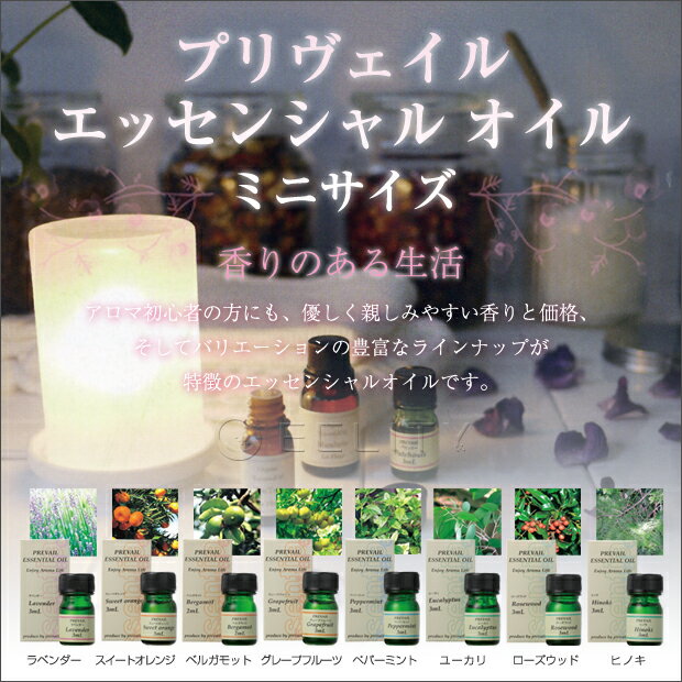 初めてのアロマオイル【お試しミニ】　天然植物精油　エッセンシャルオイル限定セール %OFF! 【YDKG-k】【W3】