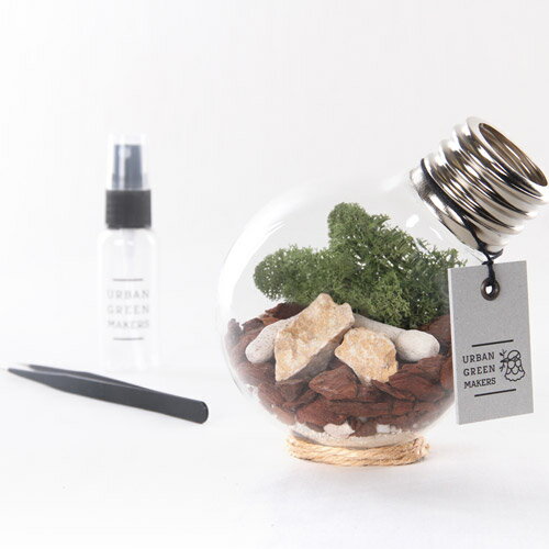 アーバングリーンメーカー テラリウムキット02 URBAN GREEN MAKERS BULB TE...:eclity:10015734