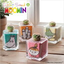 カラーサンド de ムーミン サウンドスパイス ムーミン スナフキン ミィ ニョロニョロ サボテン 観葉植物 土 プレゼント 種類 ボックス 内祝い お誕生日 ホワイトデー ギフト 女性 プチギフト インテリア 雑貨 オシャレ