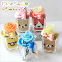 サウンドスパイス カラーサンドdeプリザーブドフラワー Rilakkuma カラーサンド colorsand サボテン 観葉植物 寄せ植え 土 妖怪ウォッチ ハローキティ プレゼント 種類 ボックス 内祝い クリスマス お返し 誕生日 ギフト 女性 プチギフト ブルックリンスタイル 西海岸風 北欧