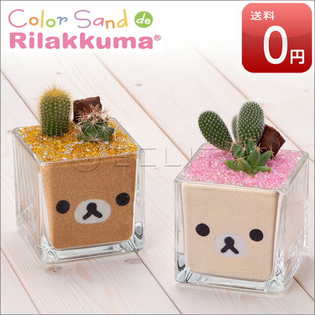 リラックマ Rilakkuma 観葉植物 ミニサボテン ミニ 癒しの カラーサンドdeリラックマ 